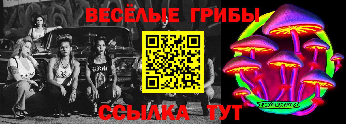 Лянтор  Галлюциногенные грибы прущие грибы  Вход с VPN 